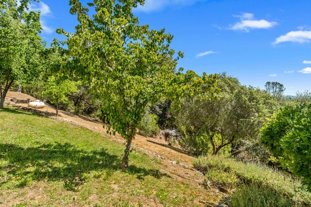 5045 Free Fox Ln, Placerville, CA 95667