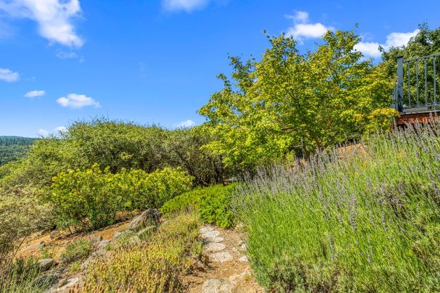 5045 Free Fox Ln, Placerville, CA 95667