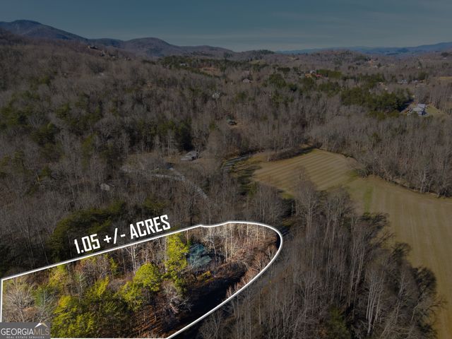1637 Townsend Mill Road, Young Harris, GA 30582