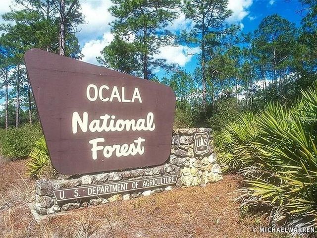24607 POLAR BEAR ROAD, Paisley, FL 32767