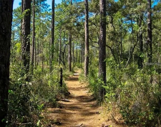 24607 POLAR BEAR ROAD, Paisley, FL 32767