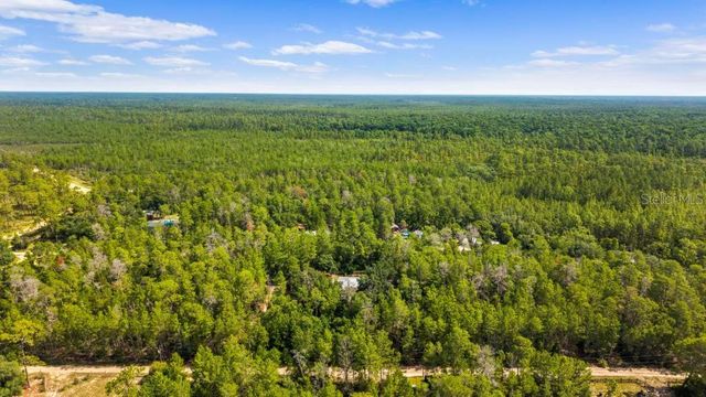 24607 POLAR BEAR ROAD, Paisley, FL 32767