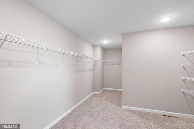 6102 Radford Avenue NE, Otsego, MN 55330