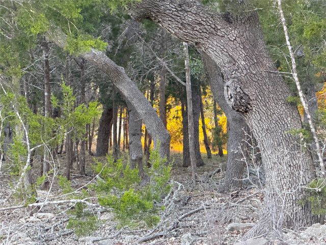 209 Legacy RDG, Canyon Lake, TX 78133