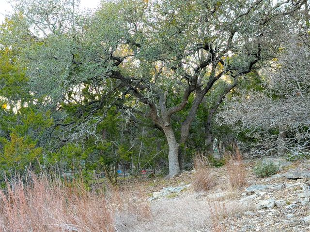 209 Legacy RDG, Canyon Lake, TX 78133