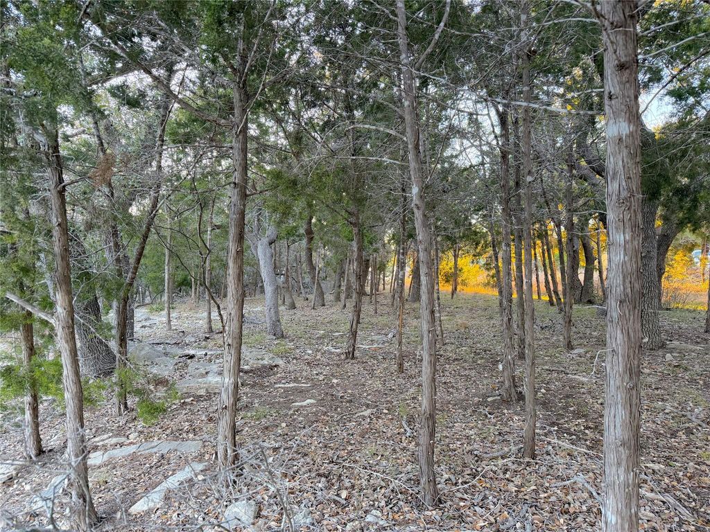209 Legacy RDG, Canyon Lake, TX 78133