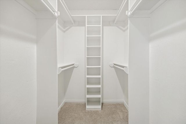 3919 Black Crickett Court, Humble, TX 77396