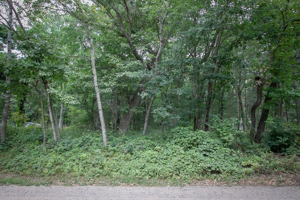 TBD 241st Avenue NE, Stacy, MN 55079 — photo 2
