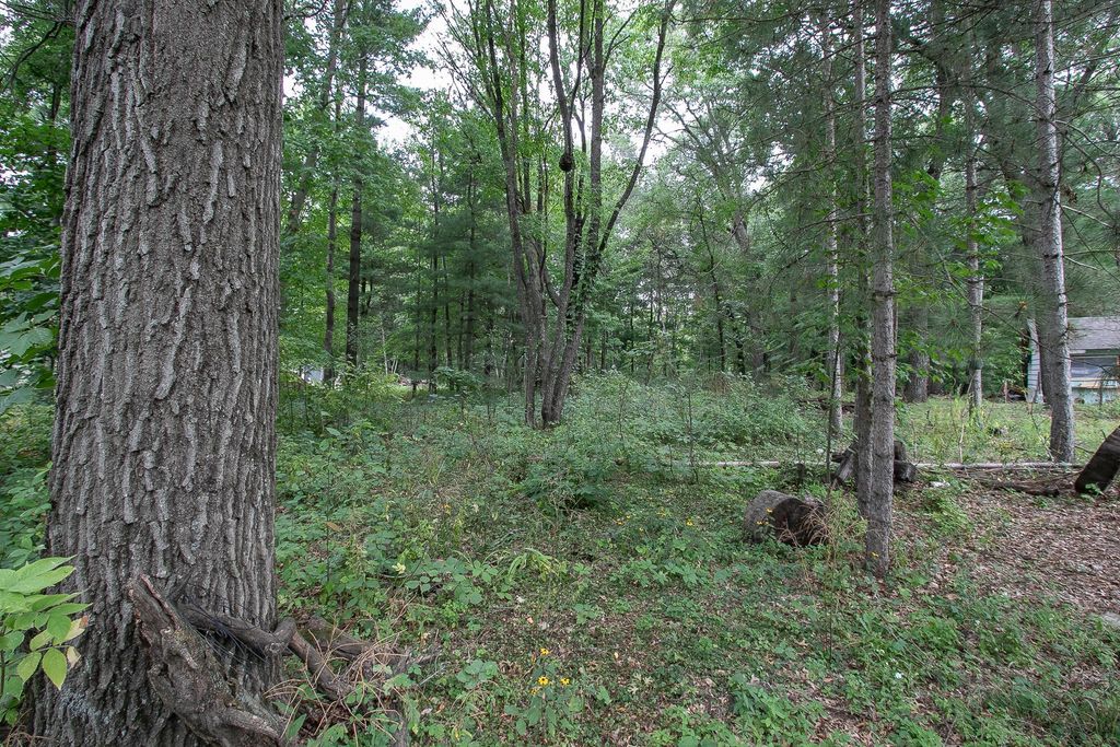 TBD 241st Avenue NE, Stacy, MN 55079 — photo 3