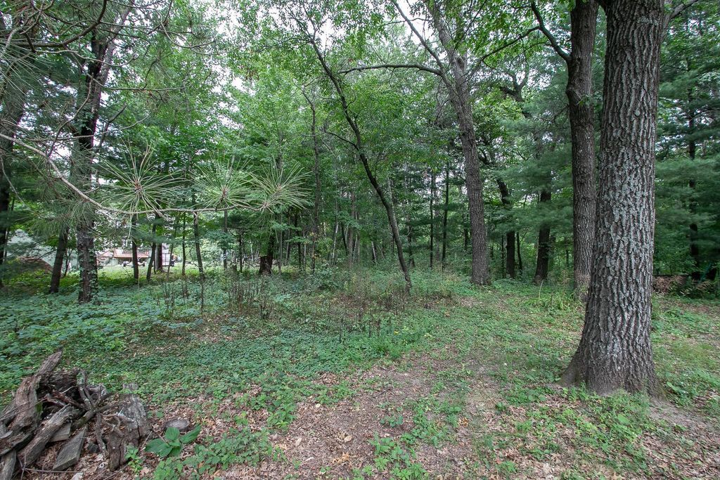 TBD 241st Avenue NE, Stacy, MN 55079 — photo 4