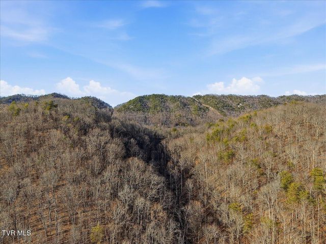 313 Rogers Road, Rogersville, TN 37857