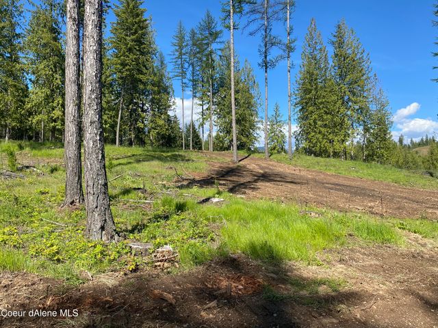 NNA Annes Lane (Lot 19) Rd, Sagle, ID 83860