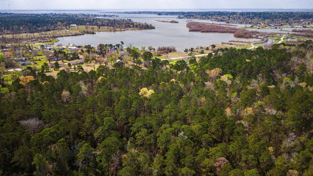 TBD Tract 2 Triple Creek Loop, Livingston, TX 77351