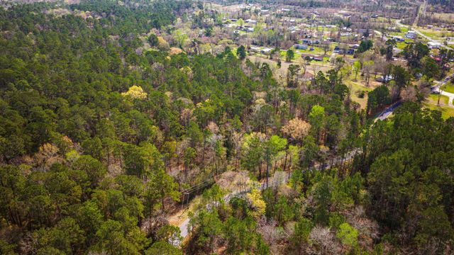 TBD Tract 2 Triple Creek Loop, Livingston, TX 77351