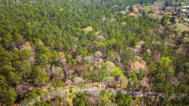 TBD Tract 2 Triple Creek Loop, Livingston, TX 77351