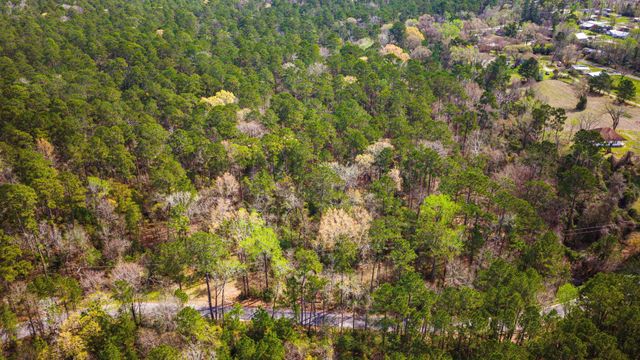 TBD Tract 2 Triple Creek Loop, Livingston, TX 77351