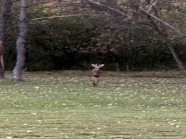 4309 10TH STREET, Menominee, MI 49858