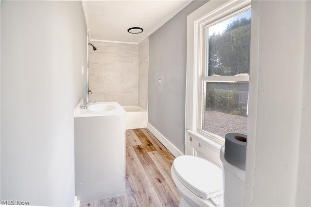 386 W Jackson Street, Painesville, OH 44077