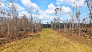 0 Whitaker Lane, Belvidere, TN 37306