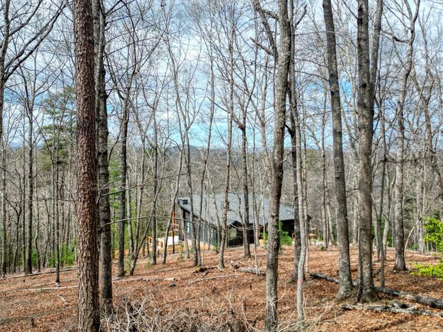 Lot 25 Cross Creek, Mineral Bluff, GA 30559