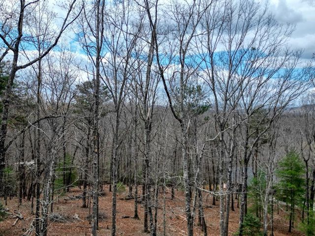 Lot 25 Cross Creek, Mineral Bluff, GA 30559