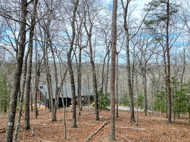 Lot 25 Cross Creek, Mineral Bluff, GA 30559