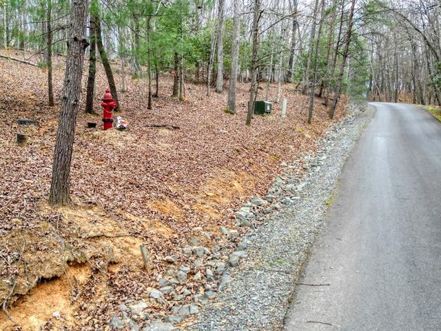 Lot 25 Cross Creek, Mineral Bluff, GA 30559