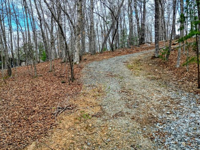 Lot 25 Cross Creek, Mineral Bluff, GA 30559