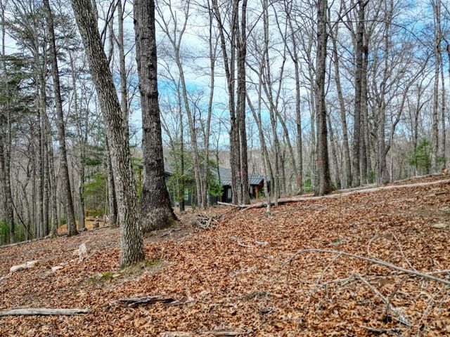 Lot 25 Cross Creek, Mineral Bluff, GA 30559