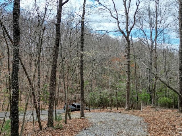 Lot 25 Cross Creek, Mineral Bluff, GA 30559