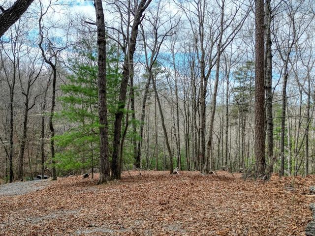 Lot 25 Cross Creek, Mineral Bluff, GA 30559