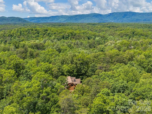 413 Green Hills Road, Mill Spring, NC 28756