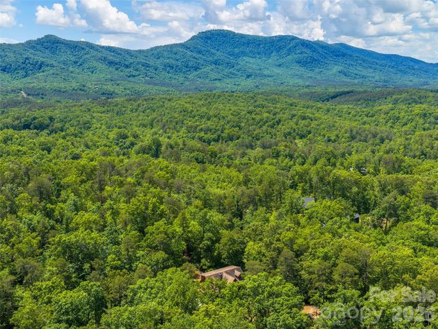 413 Green Hills Road, Mill Spring, NC 28756