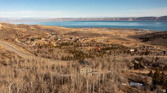 1175 S CHOKE CHERRY DR, Garden City, UT 84028