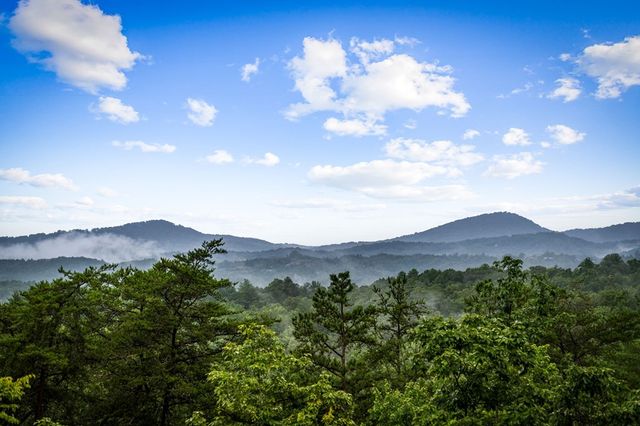 351 Black Dog Trail, Morganton, GA 30560