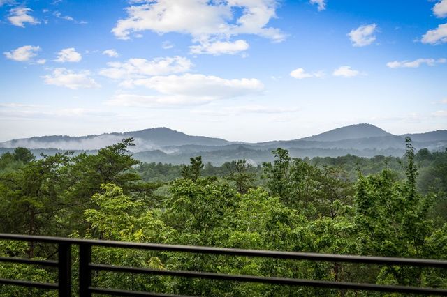 351 Black Dog Trail, Morganton, GA 30560