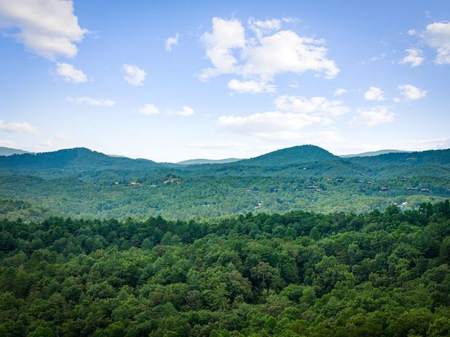 351 Black Dog Trail, Morganton, GA 30560