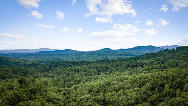 351 Black Dog Trail, Morganton, GA 30560