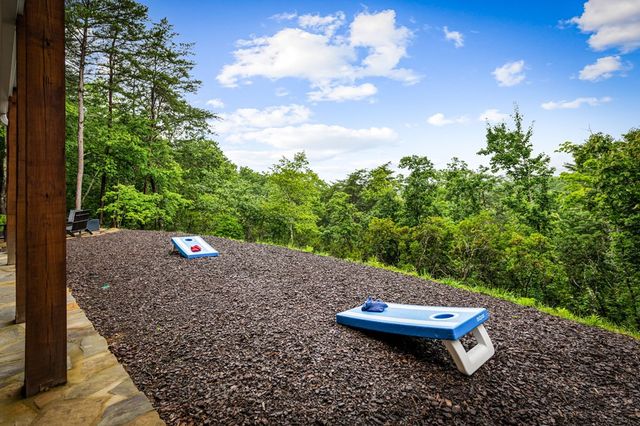 351 Black Dog Trail, Morganton, GA 30560