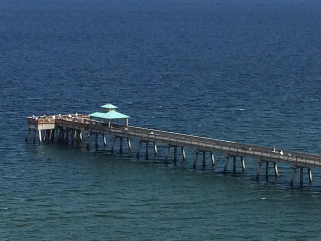 333 NE 21st Avenue 1508, Deerfield Beach, FL 33441