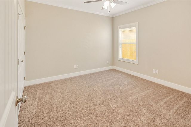 1410 Holleman Drive, College Station, TX 77840