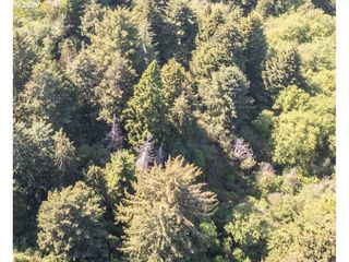 Bill Creek Ln, Bandon, OR 97411