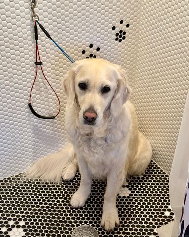 176 Logan Road, New Canaan, CT 06840