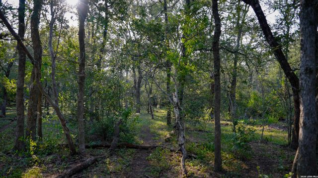9611 WILKE RD, Kingsbury, TX 78638