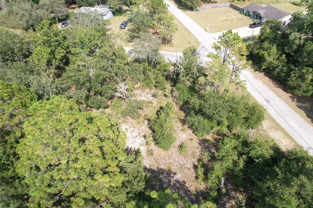 11682 N BELLUZZI TERRACE, Dunnellon, FL 34433