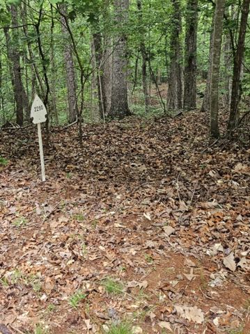 2290 chicory Court, Westminster, SC 29693