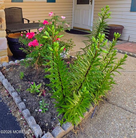 287 Church Street, Aberdeen, NJ 07747