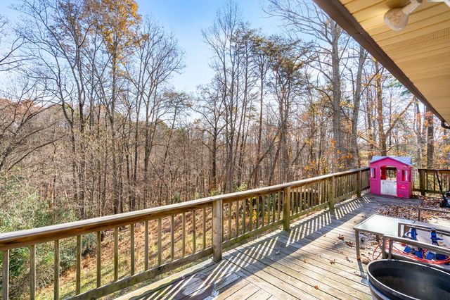 2906 Douthit Road, Mineral Bluff, GA 30559