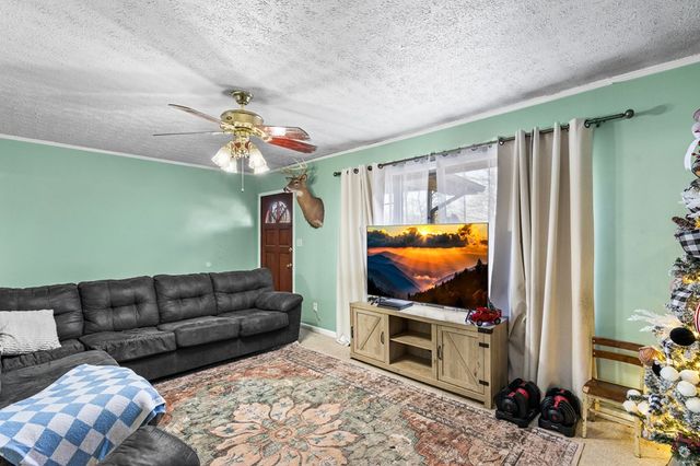 2906 Douthit Road, Mineral Bluff, GA 30559