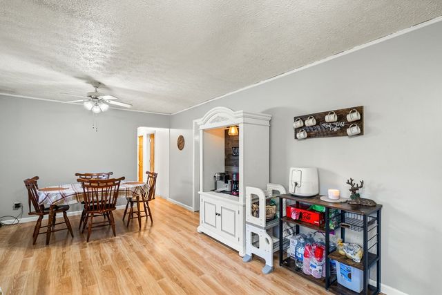 2906 Douthit Road, Mineral Bluff, GA 30559